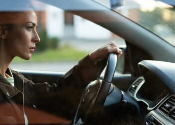 Как я защитила свой дом, собаку и себя от “семейного совета”